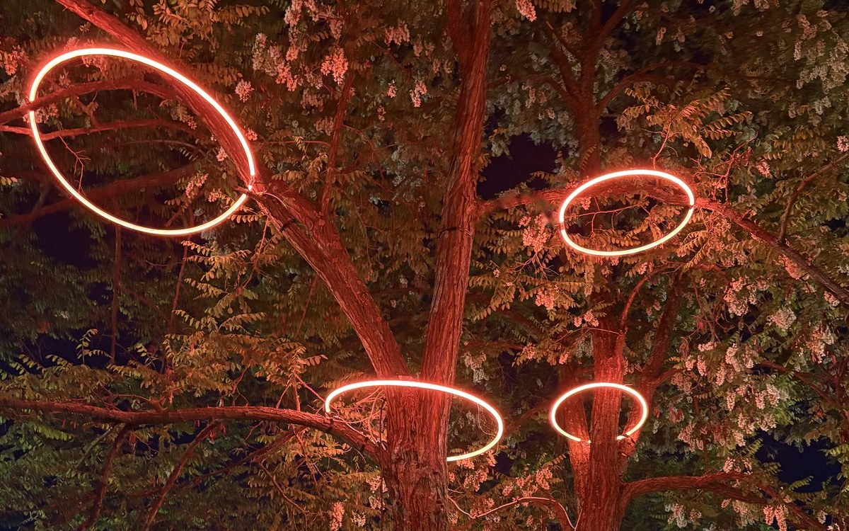 Instalacja świetlna LED w koronach drzew
